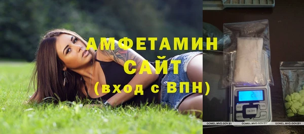 гидропоника Гусь-Хрустальный