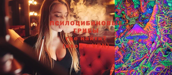 гидропоника Гусь-Хрустальный