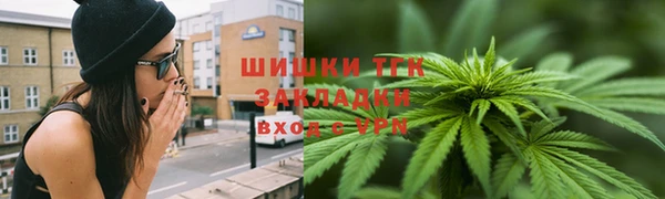 гидропоника Гусь-Хрустальный